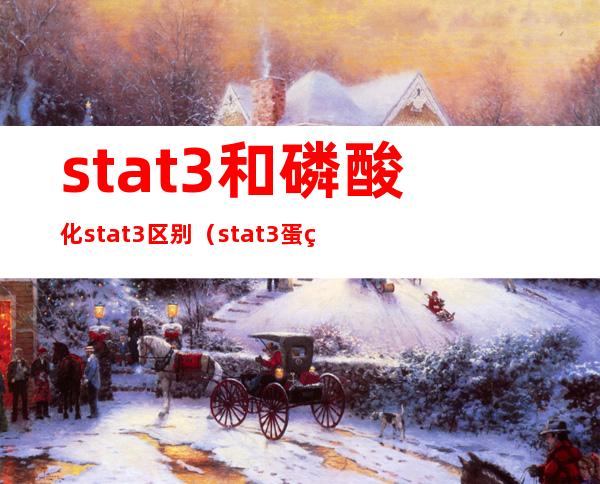 stat3和磷酸化stat3区别（stat3蛋白分子量大小）