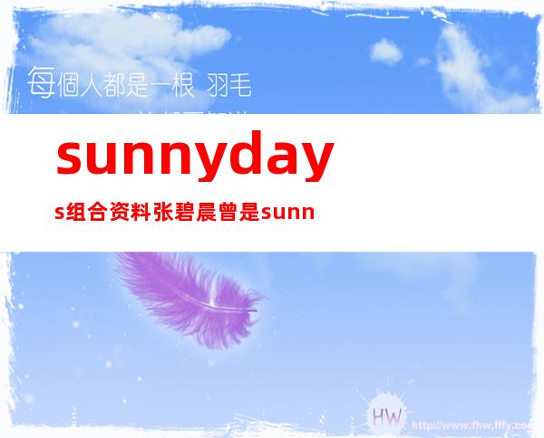 sunny days组合资料 张碧晨曾是sunny days的成员吗