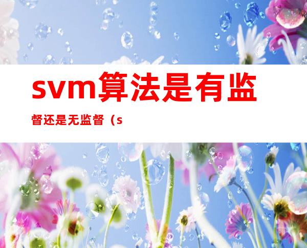 svm算法是有监督还是无监督（svm算法的性能取决于）