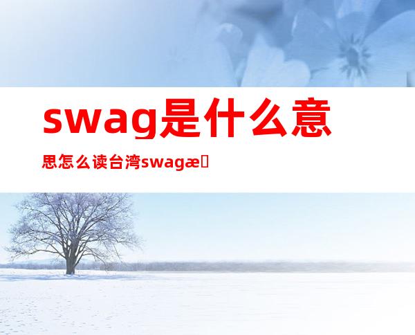 swag是什么意思怎么读 台湾swag是什么介绍