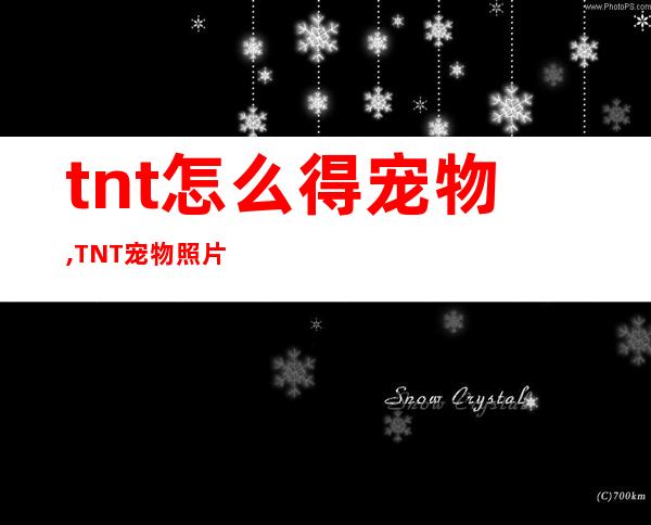 tnt怎么得宠物,TNT宠物照片