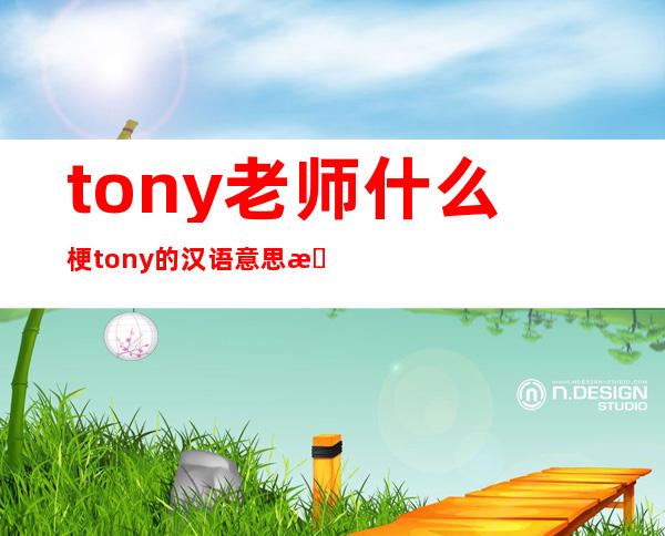 tony老师什么梗 tony的汉语意思是什么