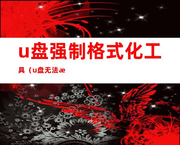 u盘强制格式化工具（u盘无法格式化工具）