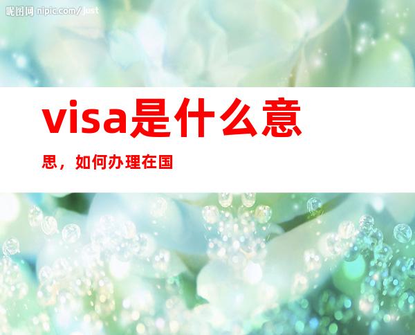 visa是什么意思，如何办理在国内visa卡