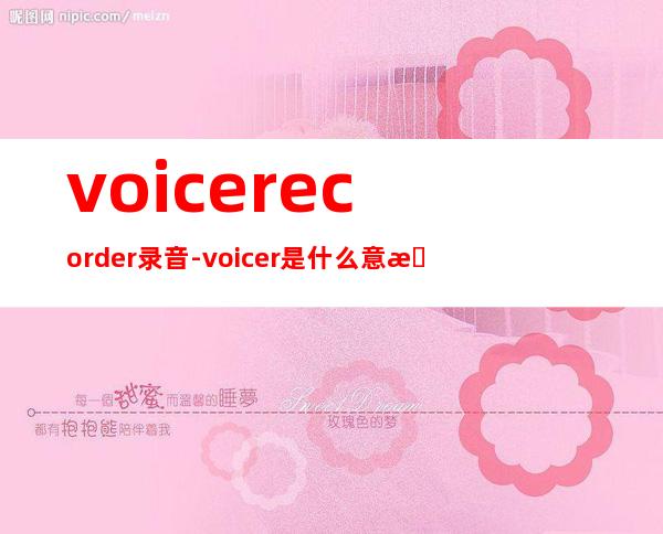 voicerecorder录音-voicer是什么意思