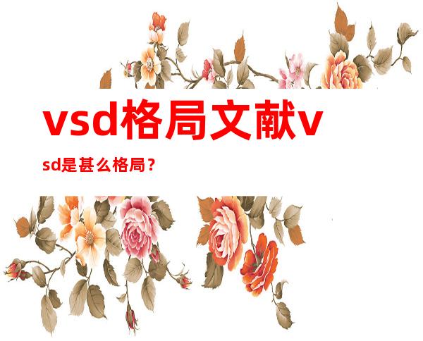 vsd格局 文献 vsd是甚么格局 ？