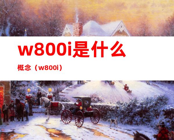 w800i是什么概念（w800i）