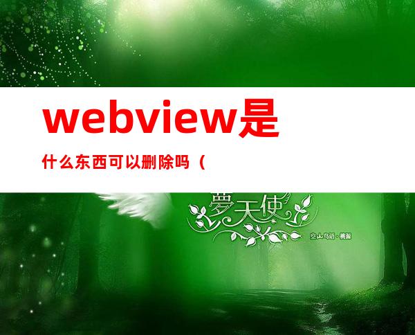 webview是什么东西可以删除吗（webview2 runtime可以卸载吗）