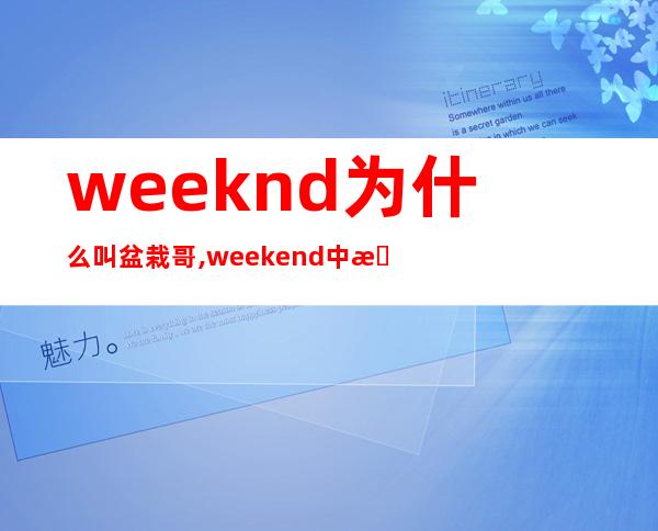 weeknd为什么叫盆栽哥,weekend中文什么意思