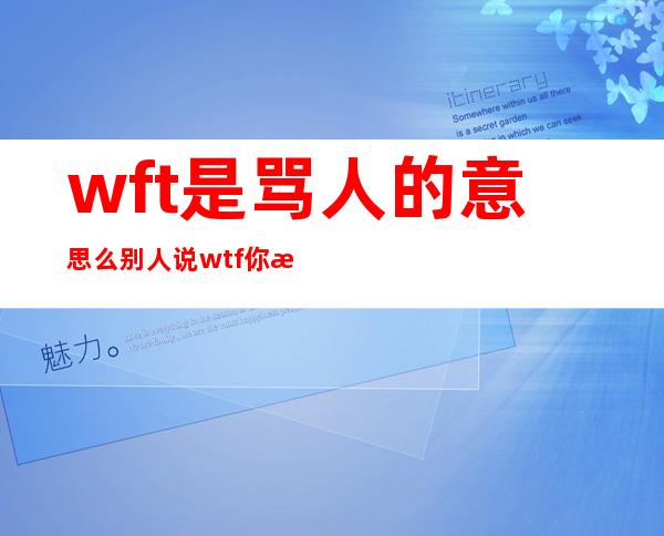 wft是骂人的意思么 别人说wtf你怎么神回复