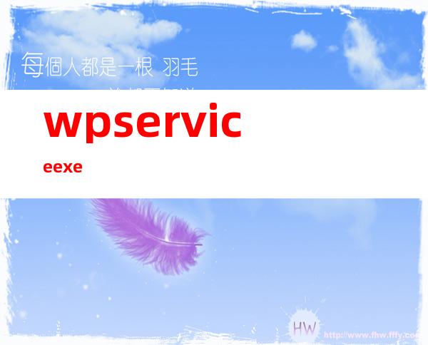 wpservice  exe