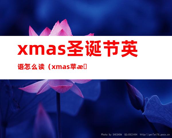 xmas圣诞节英语怎么读（xmas苹果多少钱）