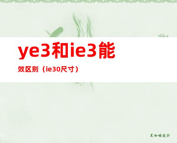 ye3和ie3能效区别（ie3 0尺寸）